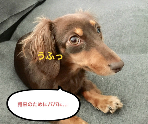BlogPaint