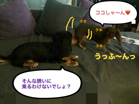 BlogPaint