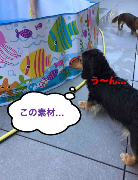 BlogPaint
