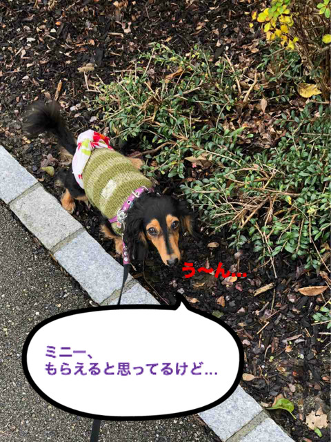 BlogPaint