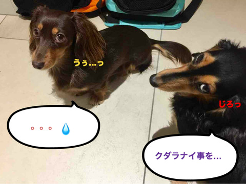 BlogPaint