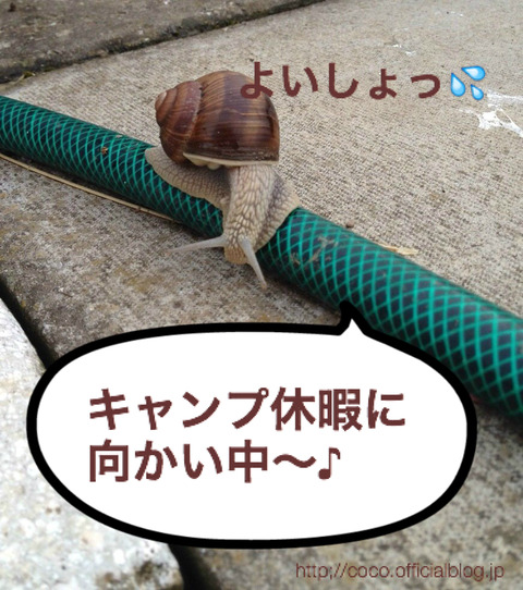 BlogPaint