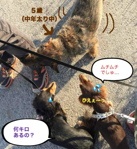BlogPaint