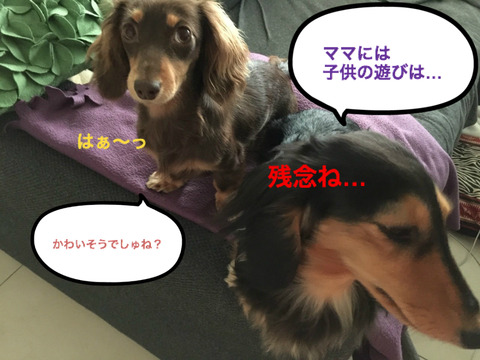 BlogPaint