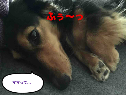 BlogPaint
