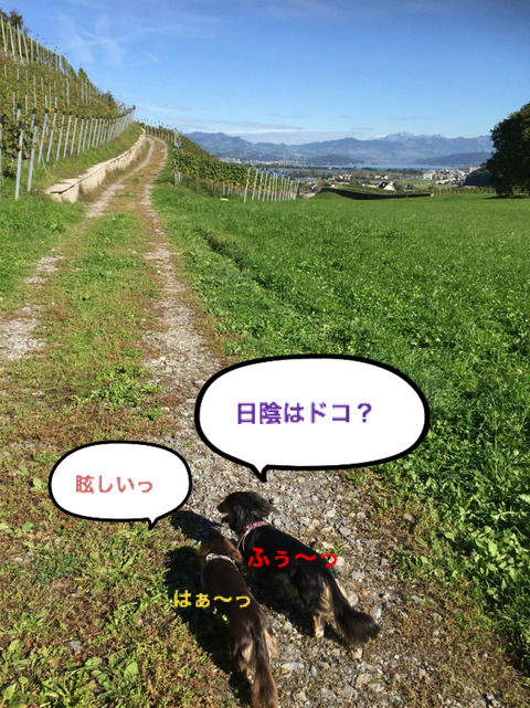 BlogPaint