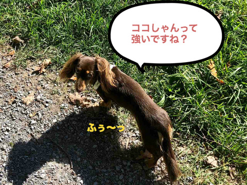 BlogPaint