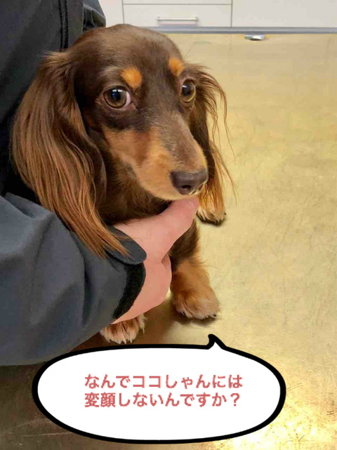 BlogPaint