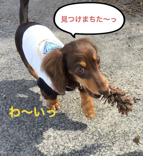 BlogPaint
