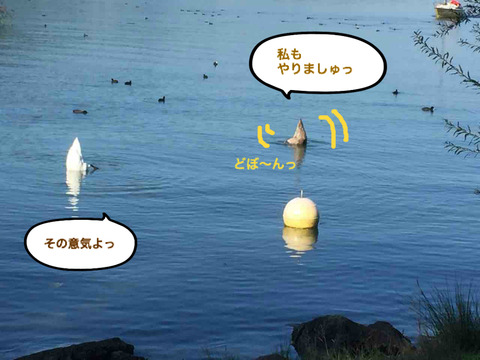 BlogPaint