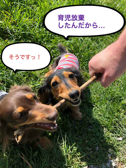 BlogPaint