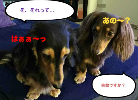 BlogPaint