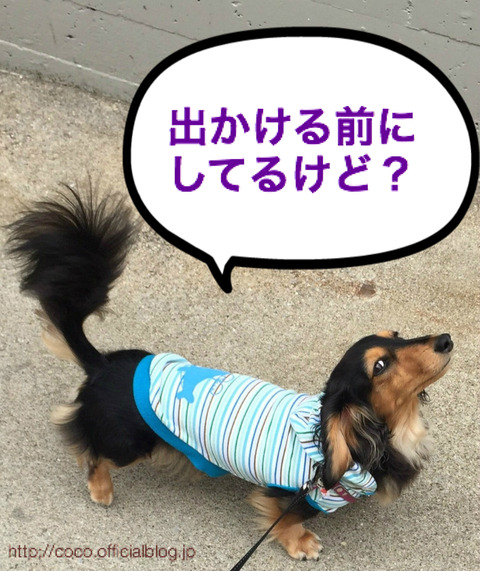 BlogPaint
