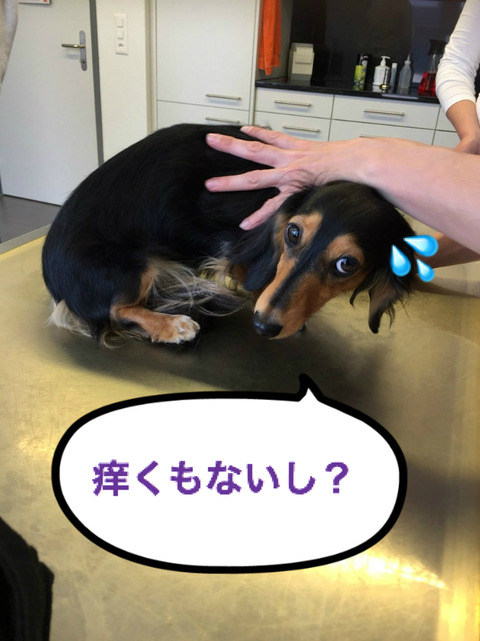 BlogPaint