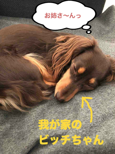 BlogPaint