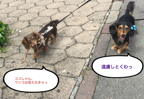 BlogPaint