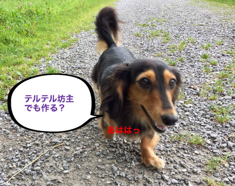 BlogPaint