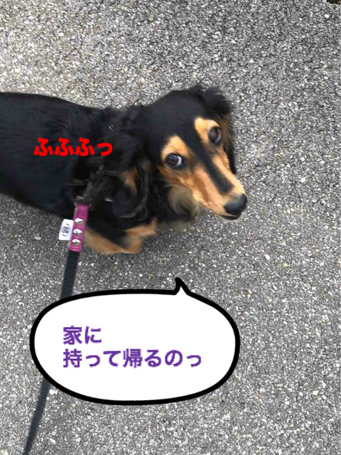 BlogPaint