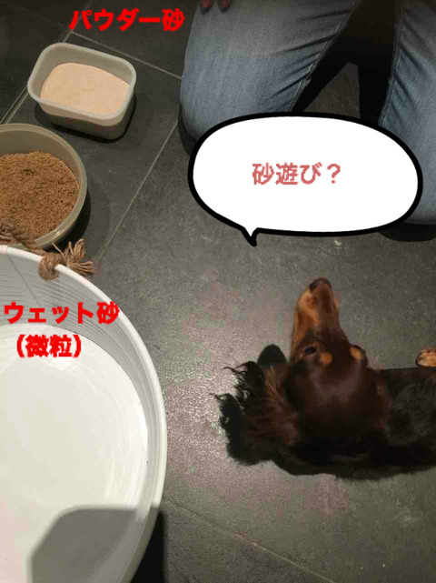 BlogPaint