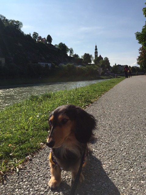 2016-05-21-00-11-57