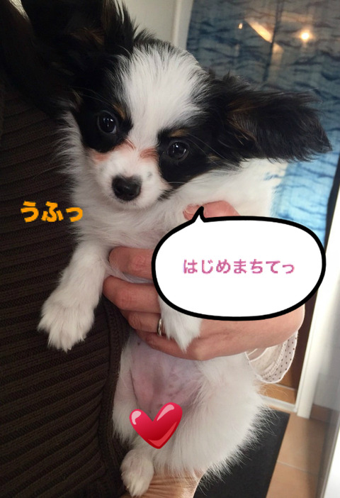 BlogPaint