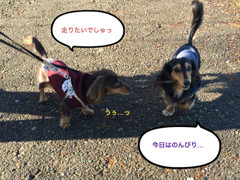 BlogPaint