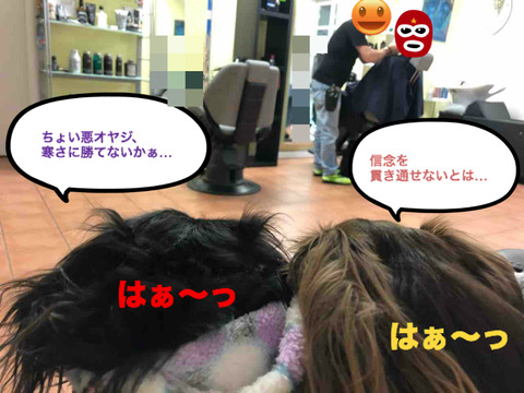 BlogPaint