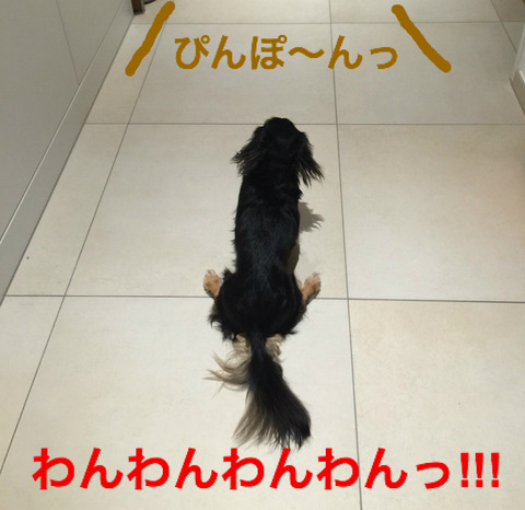 BlogPaint