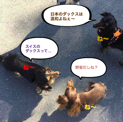 BlogPaint