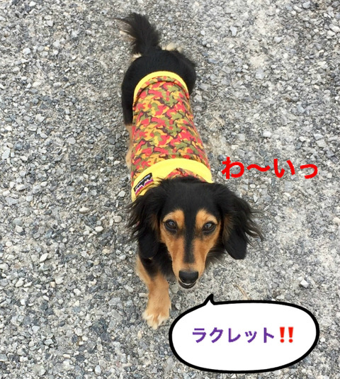 BlogPaint