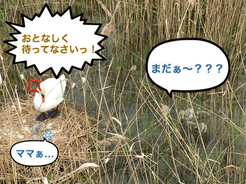 BlogPaint