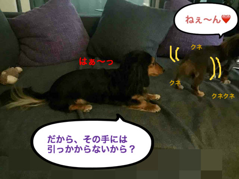 BlogPaint