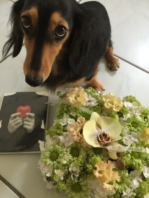 ココさんへのお花