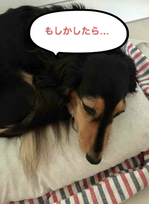 BlogPaint
