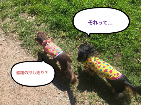 BlogPaint