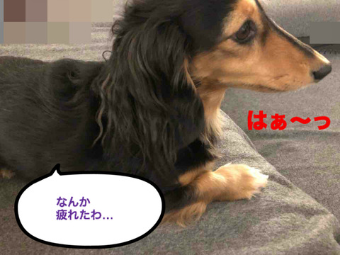 BlogPaint