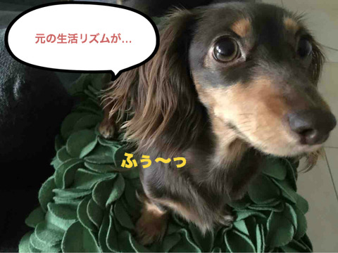 BlogPaint