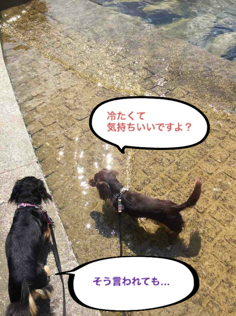 BlogPaint