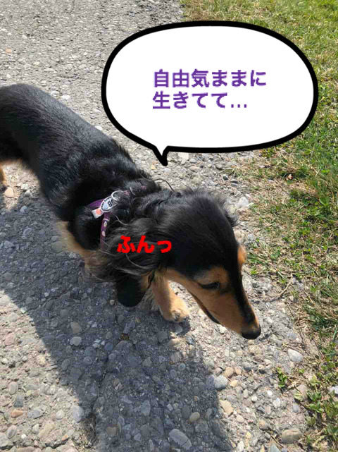 BlogPaint