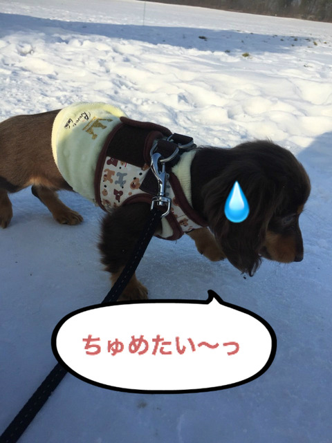 BlogPaint