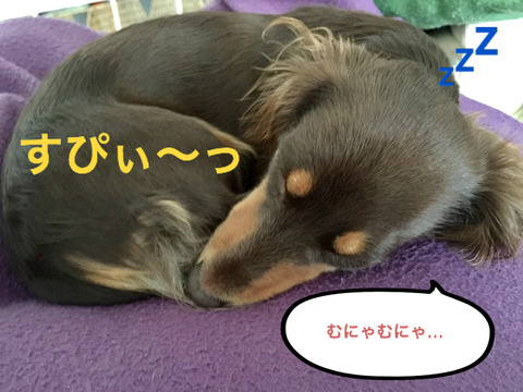BlogPaint