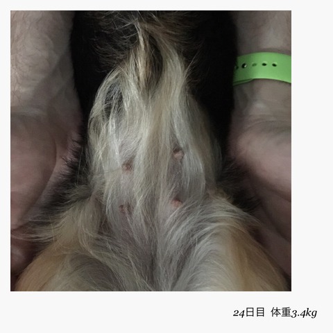 2015-07-24-19-07-18