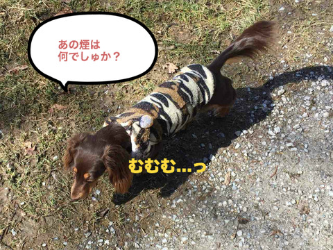 BlogPaint