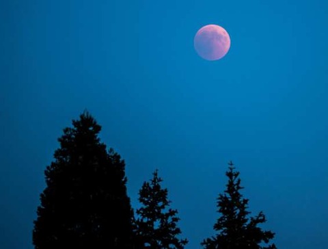 Mond-