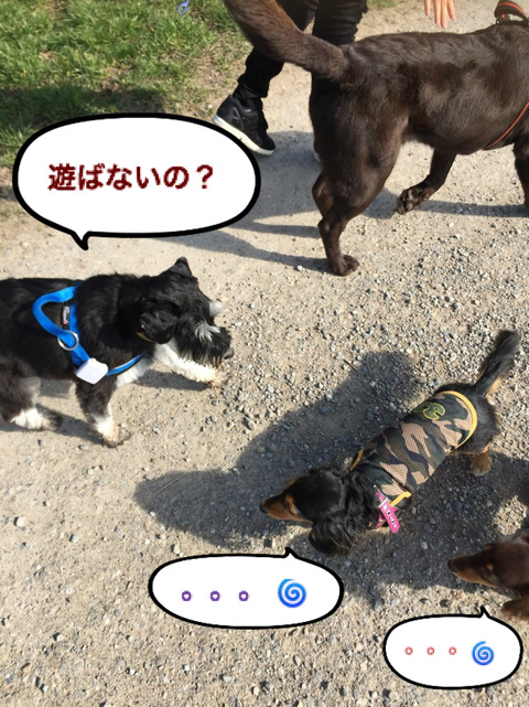 BlogPaint