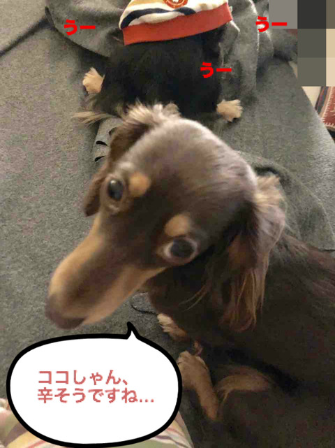 BlogPaint