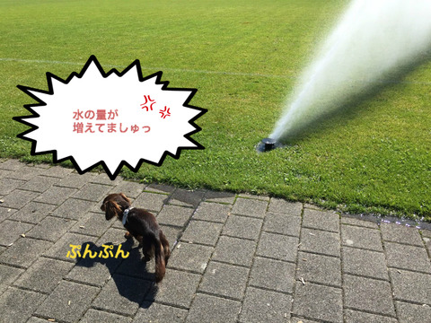 BlogPaint