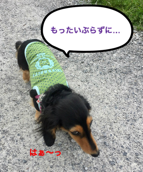 BlogPaint