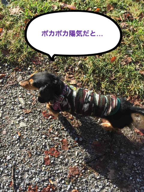 BlogPaint