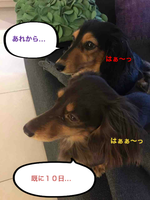 BlogPaint